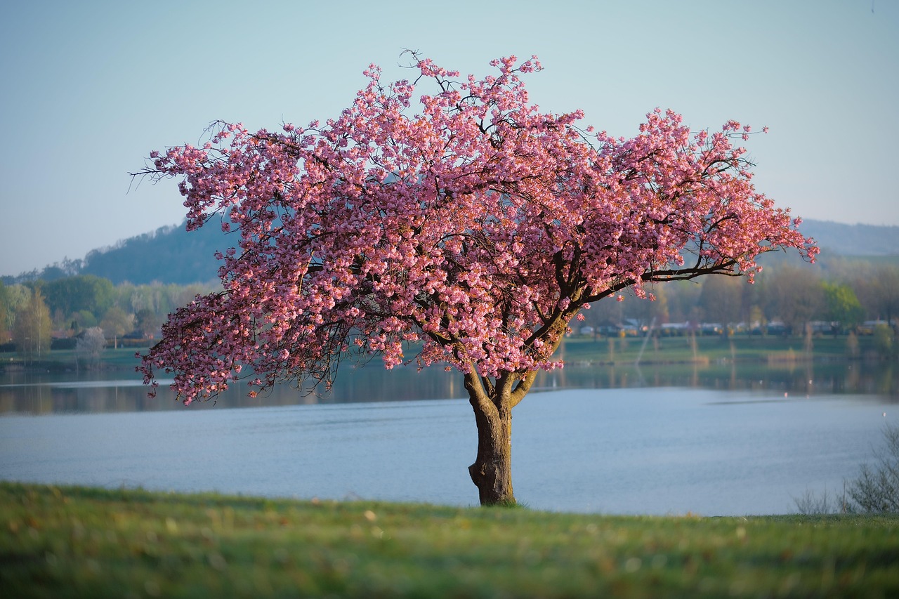 entdecken sie die faszinierende welt der farben! von lebhaften tönen bis hin zu sanften nuancen – lassen sie sich inspirieren und finden sie die perfekte farbpalette für ihr nächstes projekt.