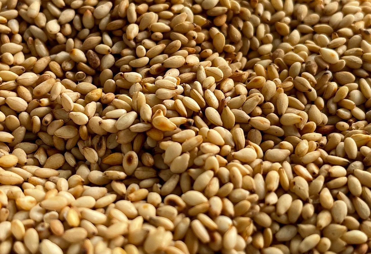 entdecken sie die kraft von superfoods! erfahren sie, wie nährstoffreiche lebensmittel ihr wohlbefinden steigern und ihre ernährung bereichern können. ideal für eine gesunde lebensweise!