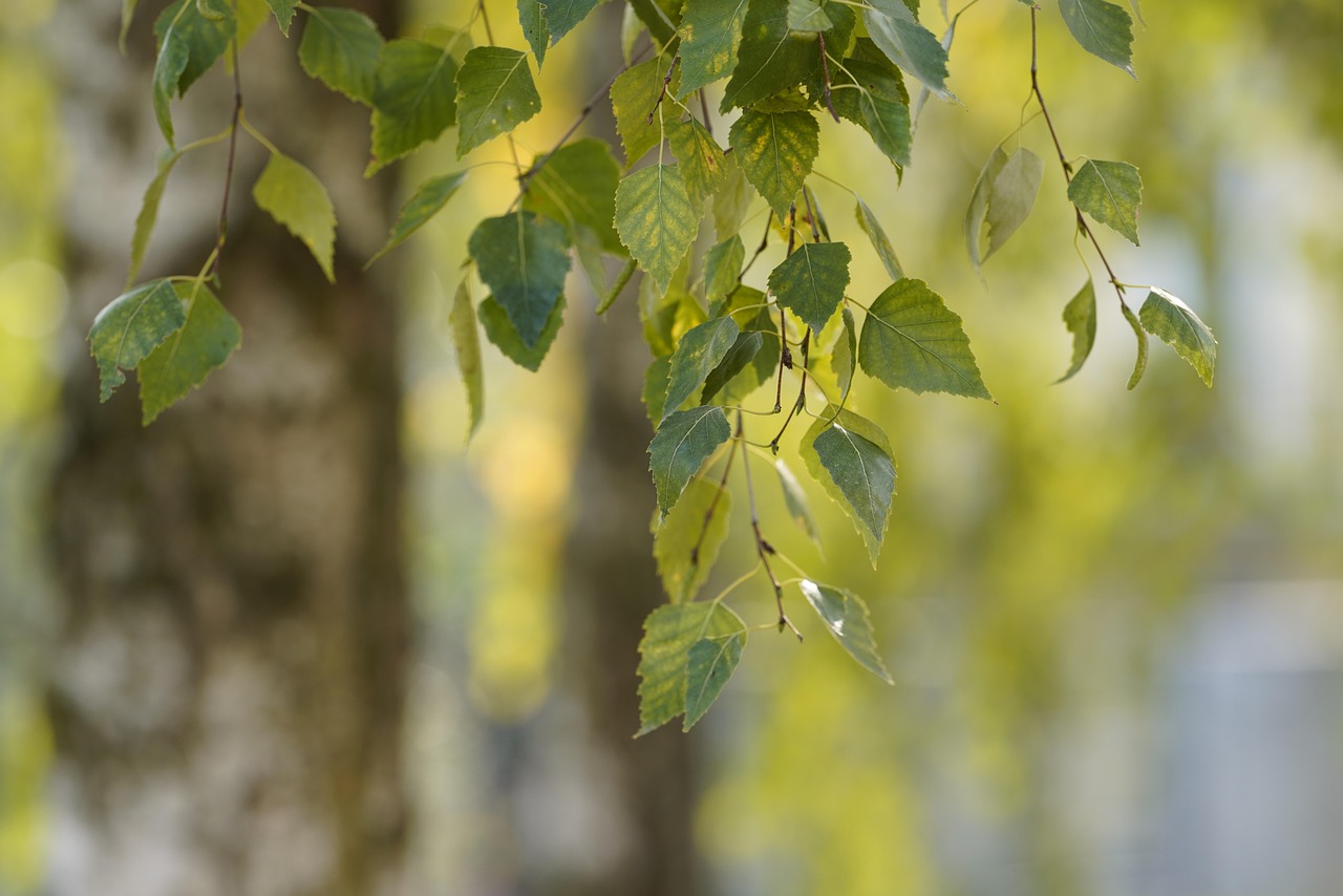 entdecken sie die neuesten fokus-techniken für mehr konzentration, effizienz und erfolg im alltag und beruf. praktische tipps und methoden, um ihre produktivität nachhaltig zu steigern.
