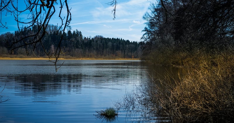 Rössle Hirschlatt: Naturparadies, Ausflugstipp und Geheimtipp
