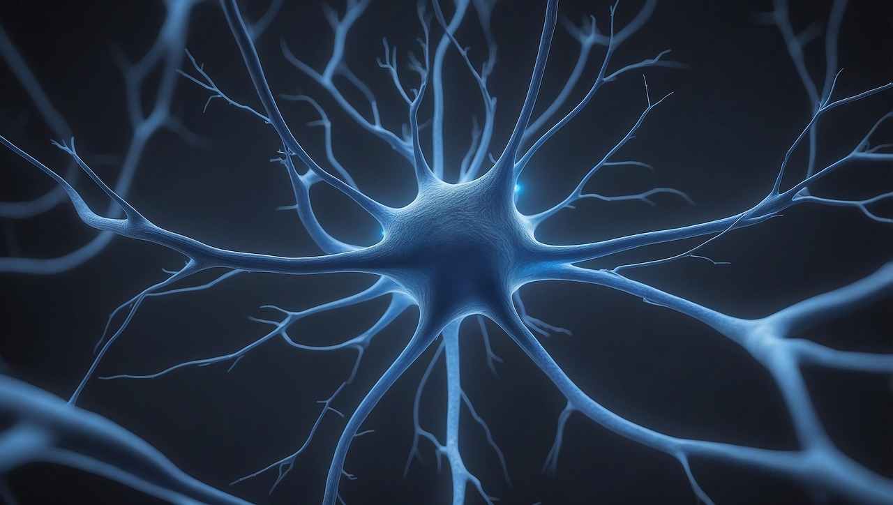 erfahren sie alles über gehirnimplantate: innovative technologien zur verbesserung der kognitiven fähigkeiten und behandlung neurologischer erkrankungen.