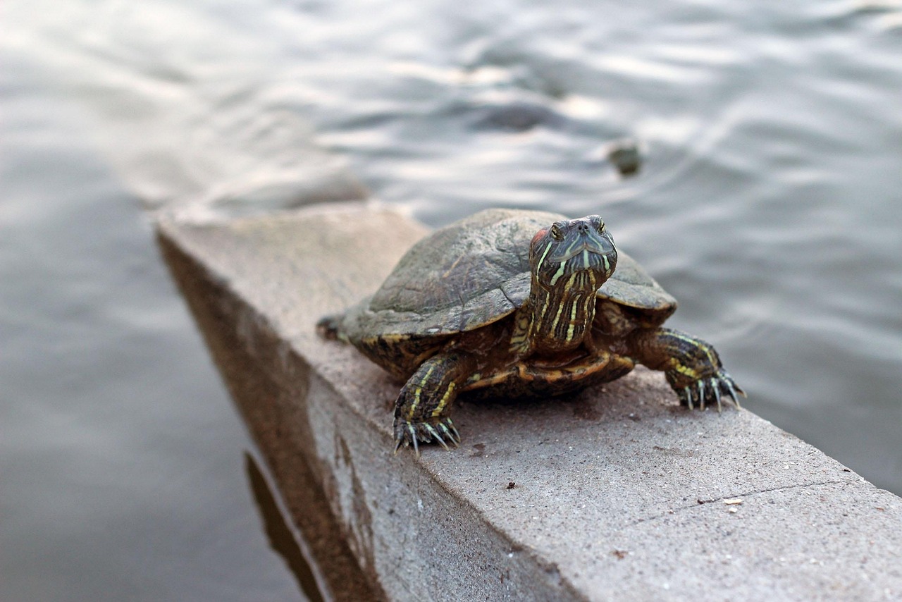 entdecken sie die vorteile moderner exoskelette zur unterstützung von mobilität und kraft in verschiedenen anwendungsbereichen.