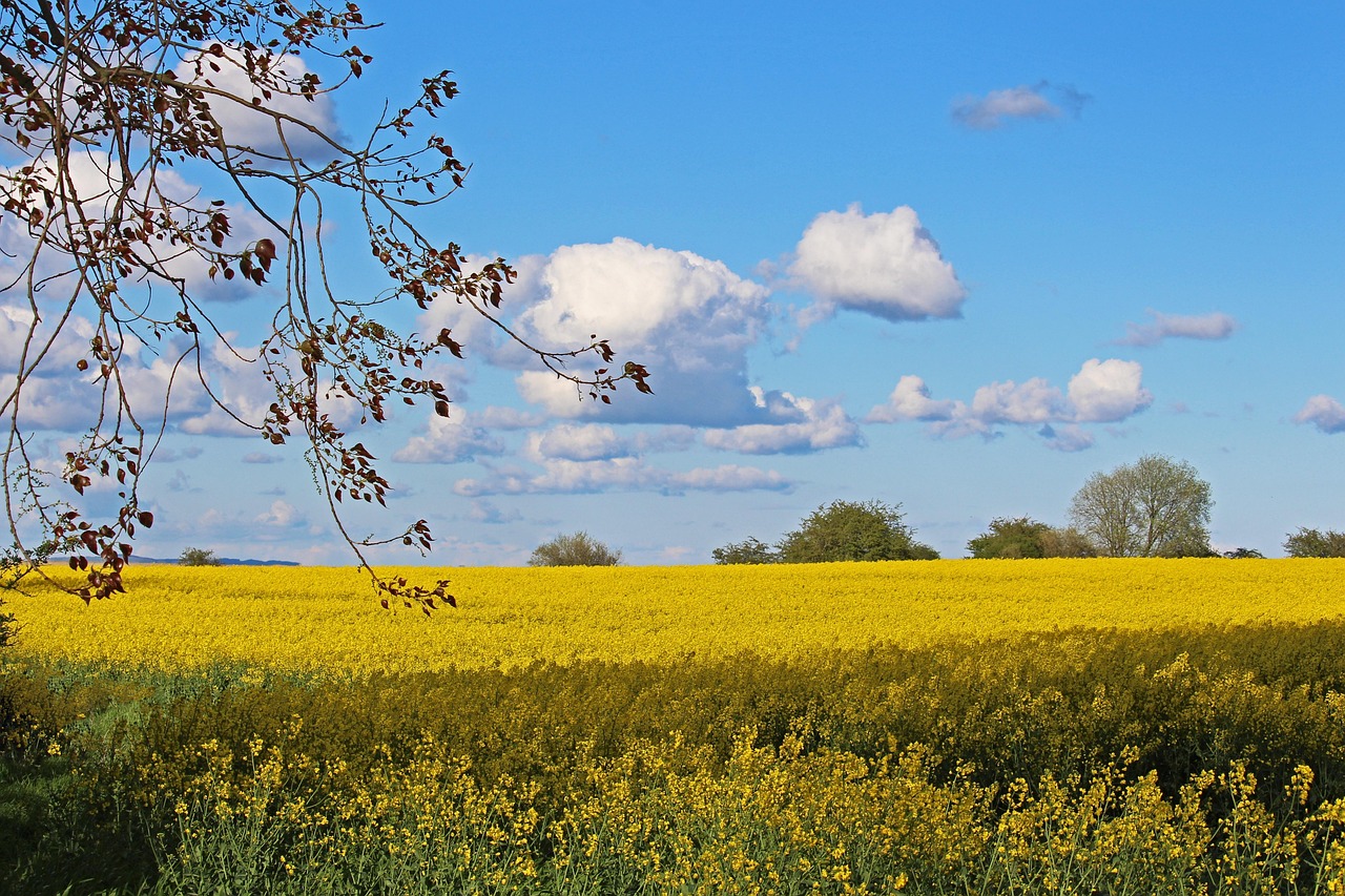 entdecken sie die vorteile von edge computing: beschleunigung der datenverarbeitung direkt an der quelle für schnellere, effizientere und sicherere it-lösungen.