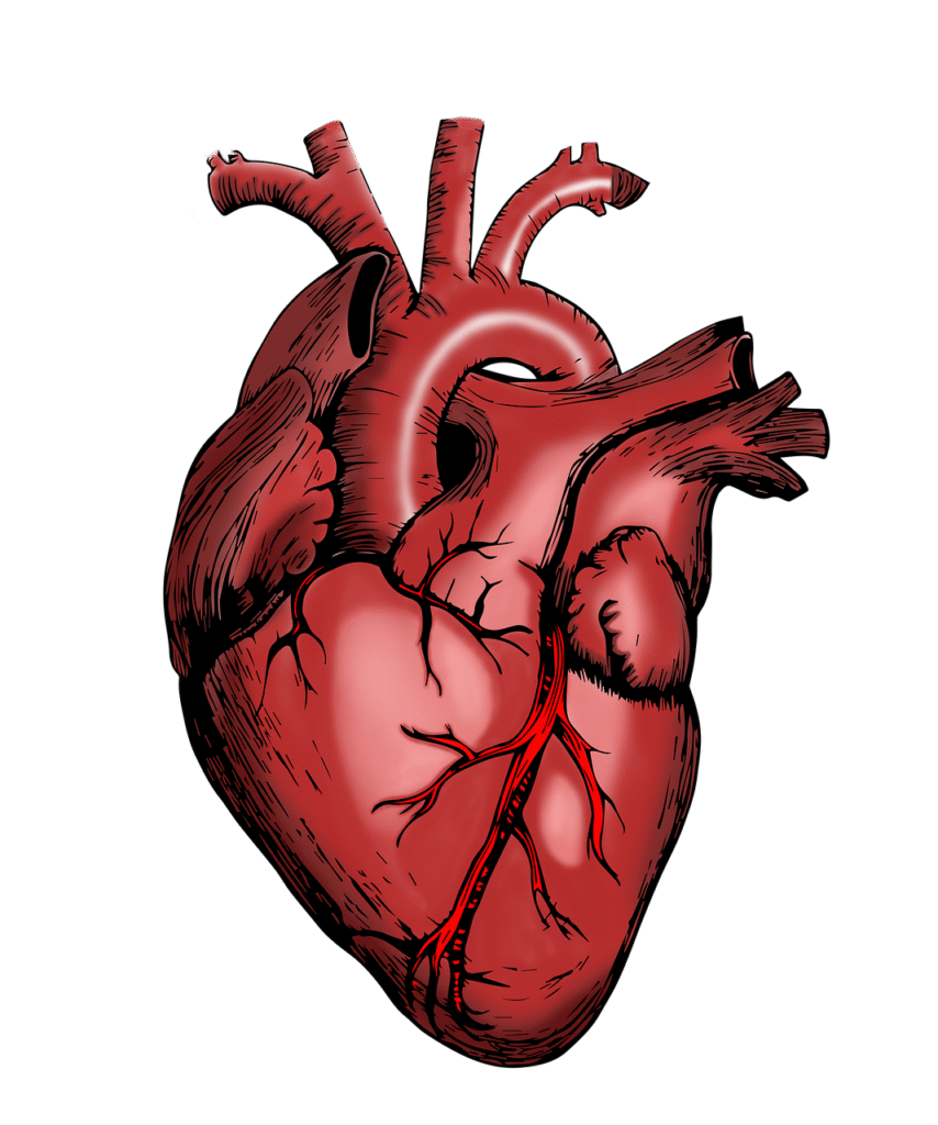 entdecken sie die faszinierende welt der synthetischen biologie: innovationen, anwendungen und zukunftsperspektiven in der gestaltung biologischer systeme.